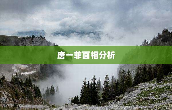 唐一菲面相分析