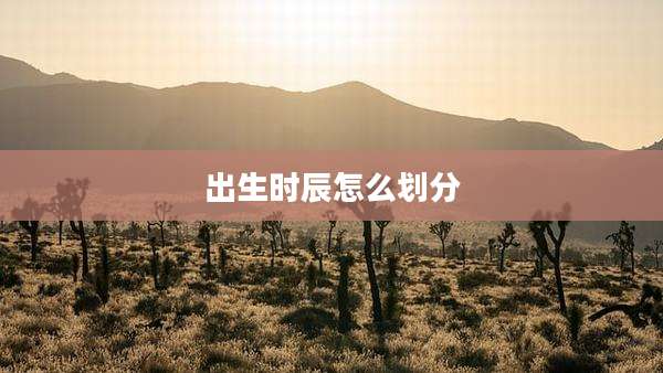 出生时辰怎么划分