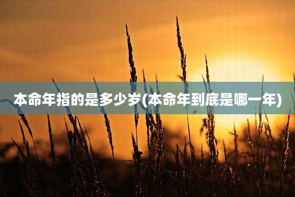 本命年指的是多少岁(本命年到底是哪一年)