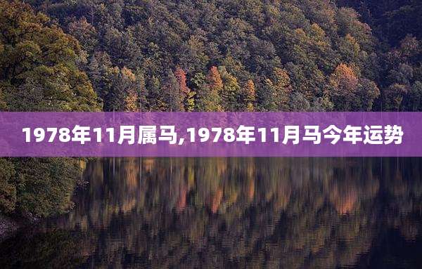 1978年11月属马,1978年11月马今年运势