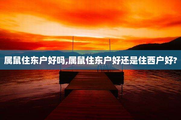 属鼠住东户好吗,属鼠住东户好还是住西户好?