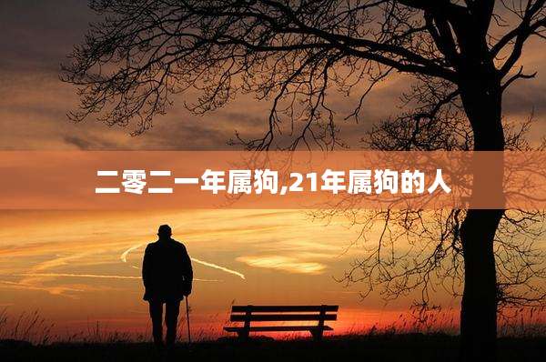 二零二一年属狗,21年属狗的人