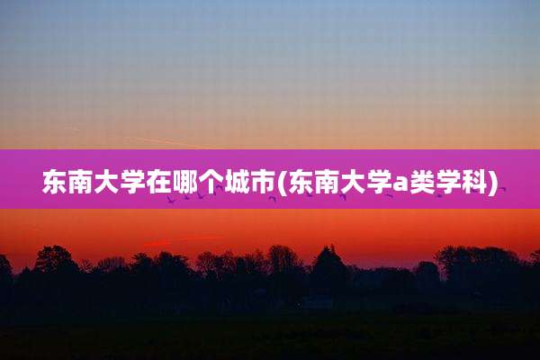 东南大学在哪个城市(东南大学a类学科)