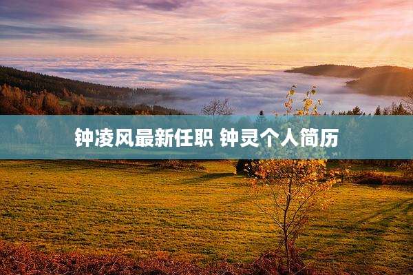 钟凌风最新任职 钟灵个人简历
