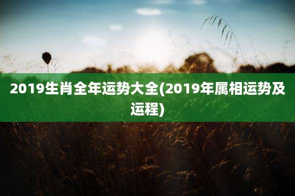 2019生肖全年运势大全(2019年属相运势及运程)