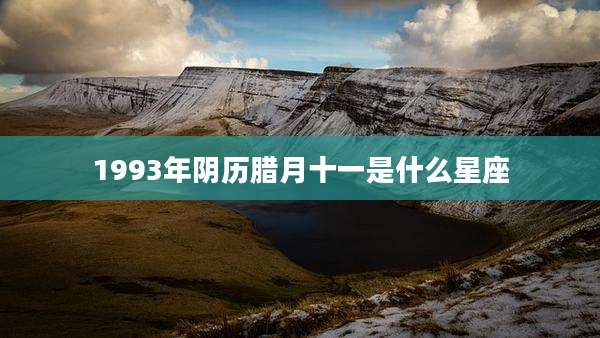 1993年阴历腊月十一是什么星座