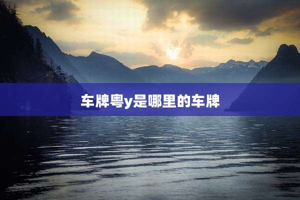 车牌粤y是哪里的车牌
