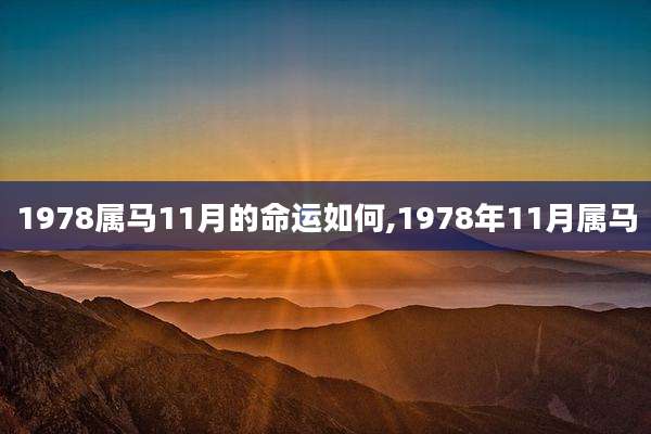 1978属马11月的命运如何,1978年11月属马