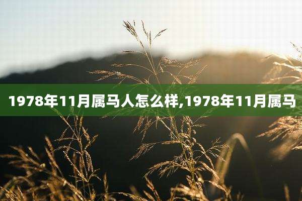 1978年11月属马人怎么样,1978年11月属马