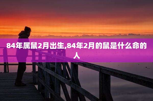 84年属鼠2月出生,84年2月的鼠是什么命的人