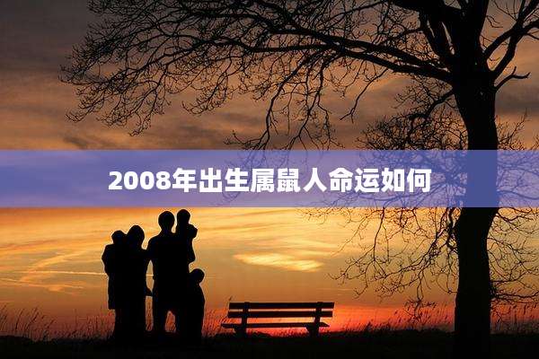 2008年出生属鼠人命运如何