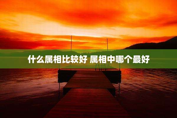 什么属相比较好 属相中哪个最好