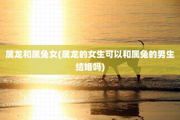 属龙和属兔女(属龙的女生可以和属兔的男生结婚吗)