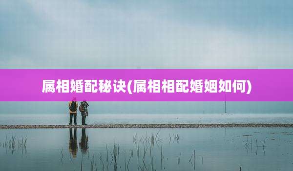 属相婚配秘诀(属相相配婚姻如何)