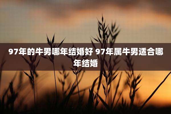 97年的牛男哪年结婚好 97年属牛男适合哪年结婚