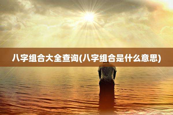 八字组合大全查询(八字组合是什么意思)