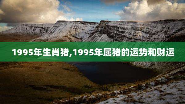 1995年生肖猪,1995年属猪的运势和财运