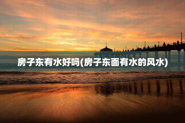 房子东有水好吗(房子东面有水的风水)