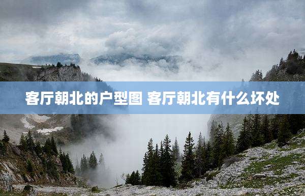 客厅朝北的户型图 客厅朝北有什么坏处