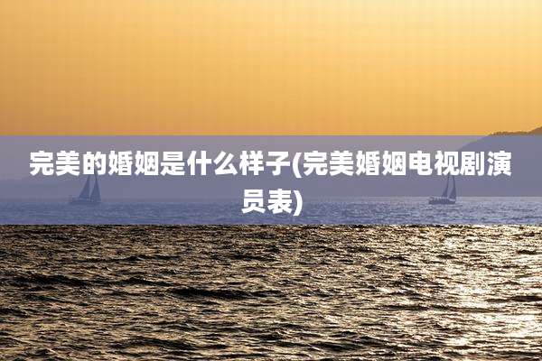 完美的婚姻是什么样子(完美婚姻电视剧演员表)