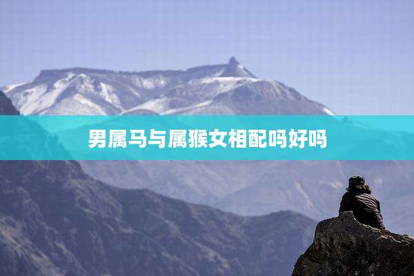 男属马与属猴女相配吗好吗
