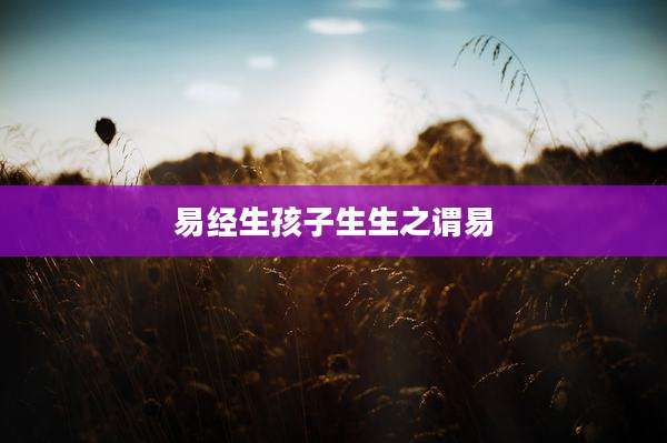 易经生孩子生生之谓易