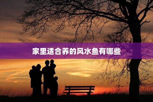 家里适合养的风水鱼有哪些
