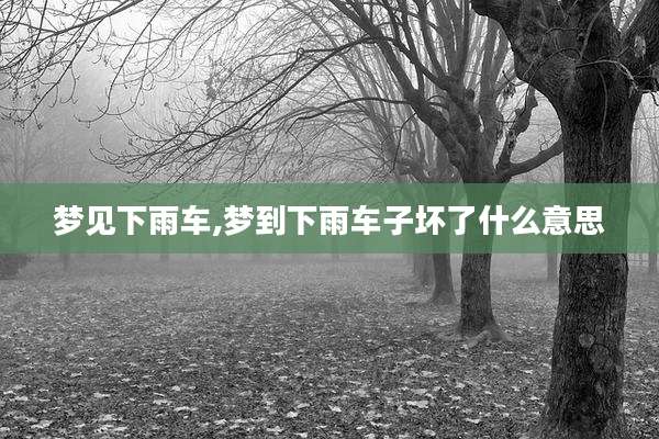 梦见下雨车,梦到下雨车子坏了什么意思