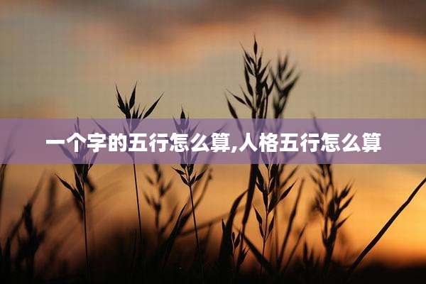 一个字的五行怎么算,人格五行怎么算