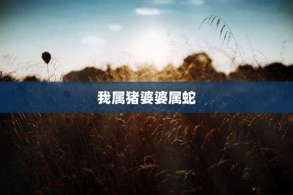 我属猪婆婆属蛇