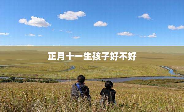 正月十一生孩子好不好