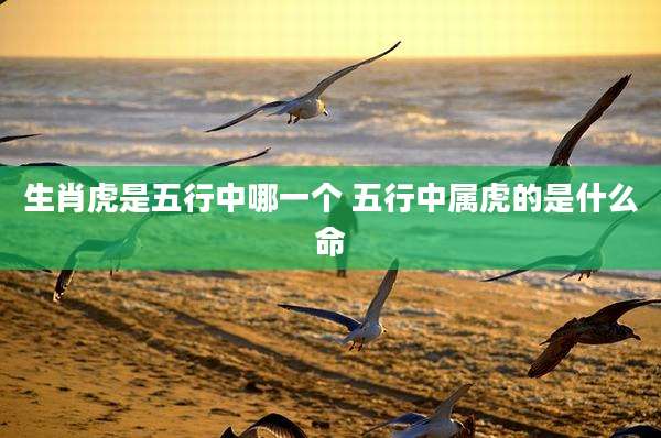 生肖虎是五行中哪一个 五行中属虎的是什么命