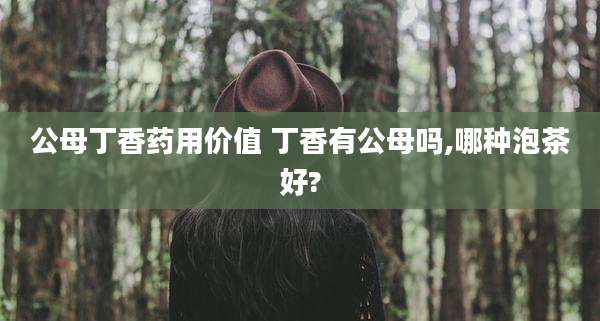 公母丁香药用价值 丁香有公母吗,哪种泡茶好?