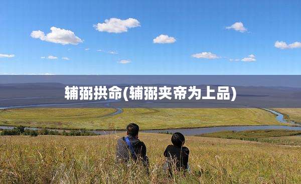 辅弼拱命(辅弼夹帝为上品)