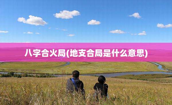 八字合火局(地支合局是什么意思)