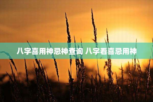 八字喜用神忌神查询 八字看喜忌用神
