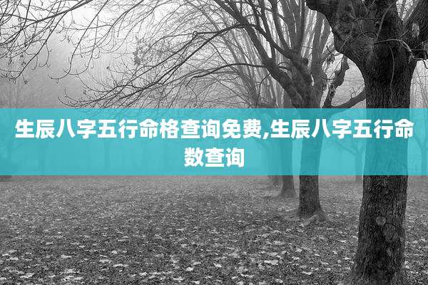 生辰八字五行命格查询免费,生辰八字五行命数查询