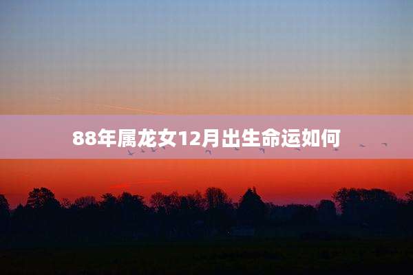 88年属龙女12月出生命运如何