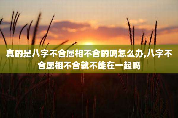 真的是八字不合属相不合的吗怎么办,八字不合属相不合就不能在一起吗