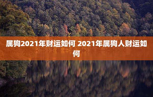 属狗2021年财运如何 2021年属狗人财运如何