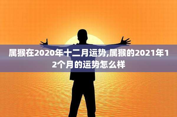 属猴在2020年十二月运势,属猴的2021年12个月的运势怎么样