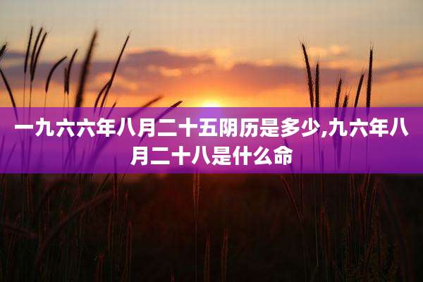 一九六六年八月二十五阴历是多少,九六年八月二十八是什么命