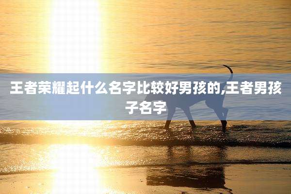 王者荣耀起什么名字比较好男孩的,王者男孩子名字