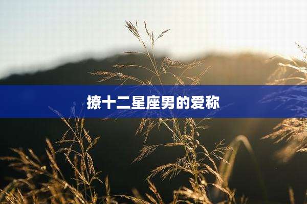 撩十二星座男的爱称