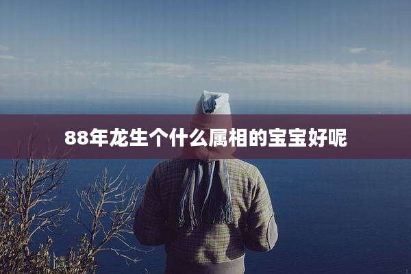 88年龙生个什么属相的宝宝好呢