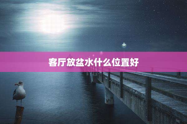客厅放盆水什么位置好
