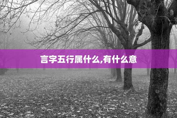言字五行属什么,有什么意