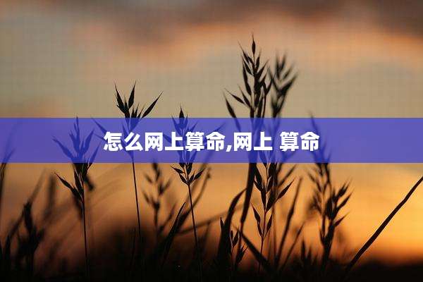 怎么网上算命,网上 算命
