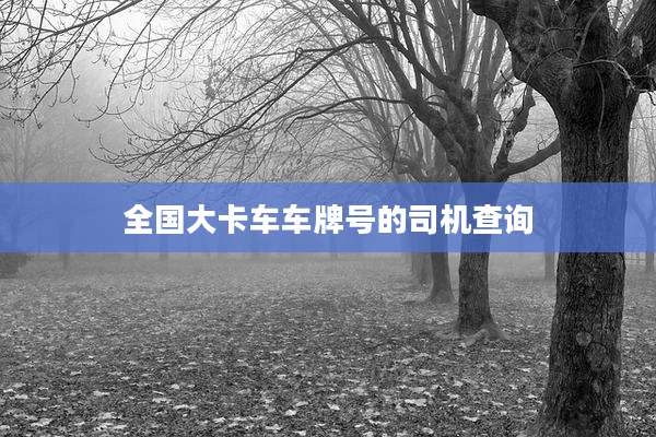 全国大卡车车牌号的司机查询