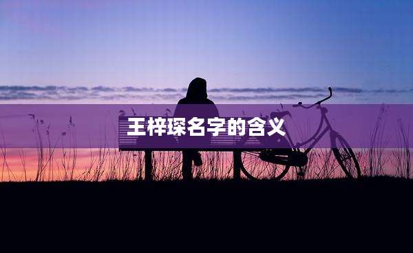王梓琛名字的含义